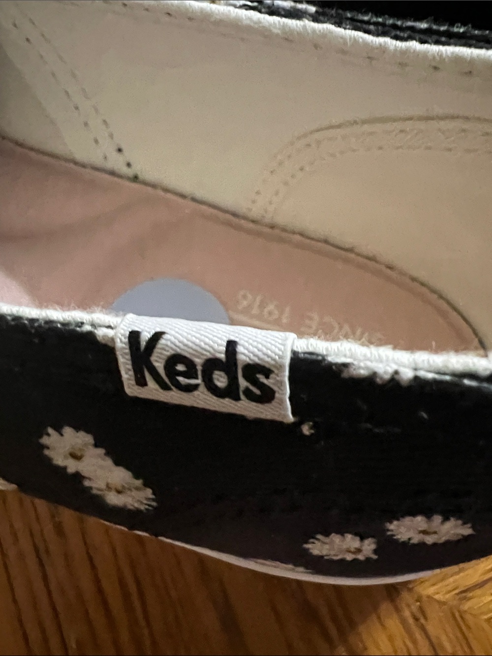 Keds Black Daisy Canvas Sneakers with White Laces - Picture 8 of 8